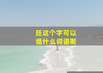 廷这个字可以组什么词语呢