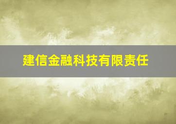 建信金融科技有限责任