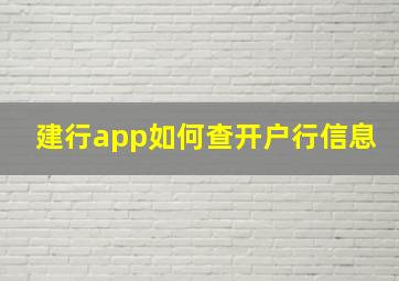 建行app如何查开户行信息