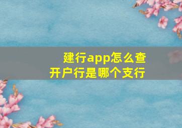 建行app怎么查开户行是哪个支行