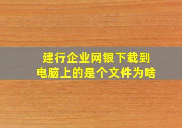 建行企业网银下载到电脑上的是个文件为啥