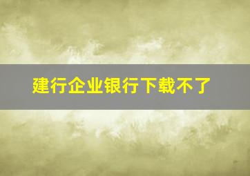 建行企业银行下载不了