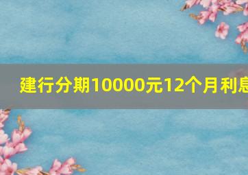 建行分期10000元12个月利息