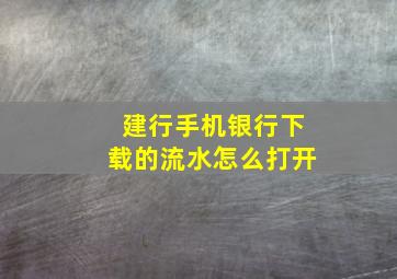 建行手机银行下载的流水怎么打开