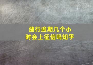 建行逾期几个小时会上征信吗知乎