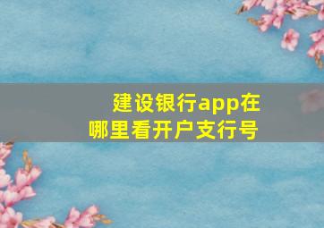 建设银行app在哪里看开户支行号