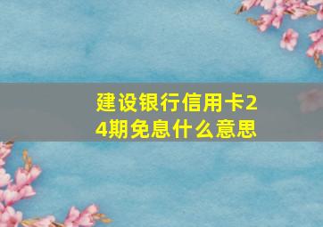 建设银行信用卡24期免息什么意思