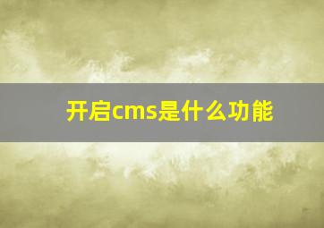 开启cms是什么功能