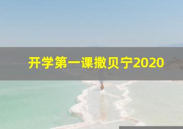 开学第一课撒贝宁2020