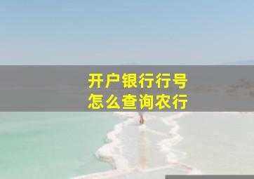 开户银行行号怎么查询农行