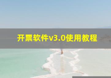 开票软件v3.0使用教程