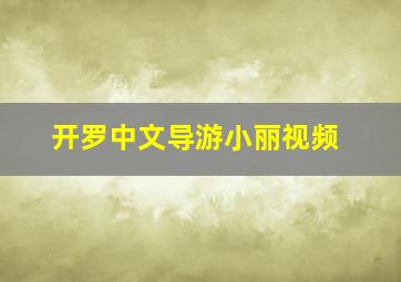 开罗中文导游小丽视频