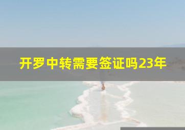 开罗中转需要签证吗23年