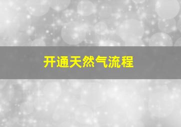 开通天然气流程