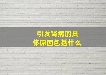 引发肾病的具体原因包括什么