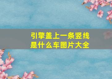 引擎盖上一条竖线是什么车图片大全