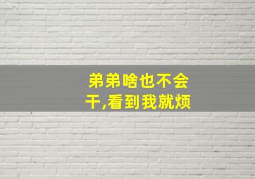 弟弟啥也不会干,看到我就烦