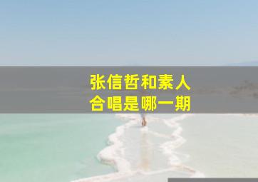 张信哲和素人合唱是哪一期