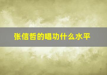 张信哲的唱功什么水平