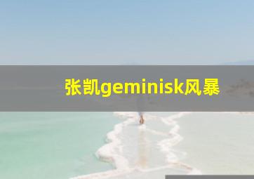 张凯geminisk风暴