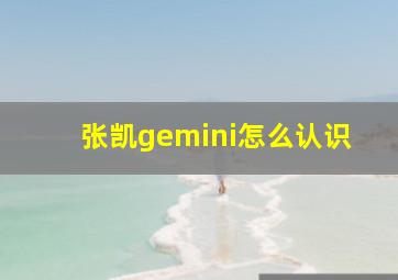 张凯gemini怎么认识