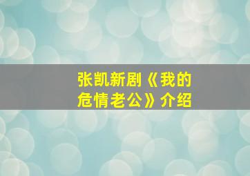 张凯新剧《我的危情老公》介绍