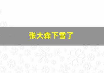 张大森下雪了