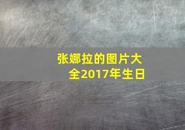 张娜拉的图片大全2017年生日