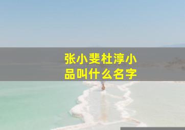 张小斐杜淳小品叫什么名字