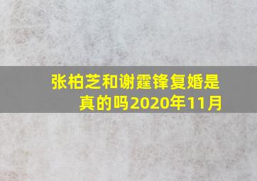 张柏芝和谢霆锋复婚是真的吗2020年11月