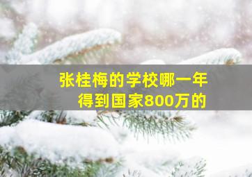 张桂梅的学校哪一年得到国家800万的