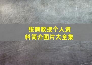 张楠教授个人资料简介图片大全集