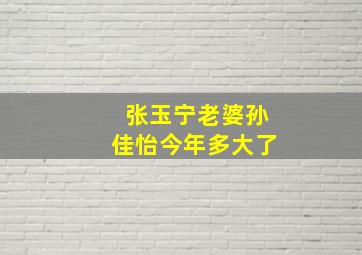 张玉宁老婆孙佳怡今年多大了