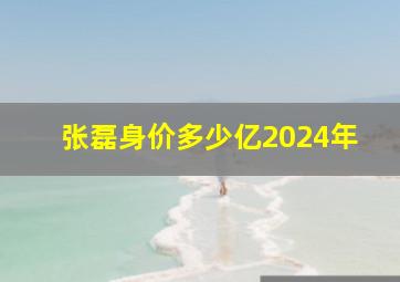 张磊身价多少亿2024年