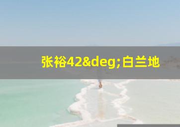 张裕42°白兰地