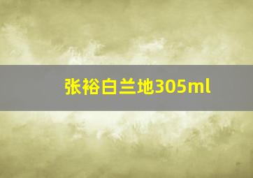 张裕白兰地305ml