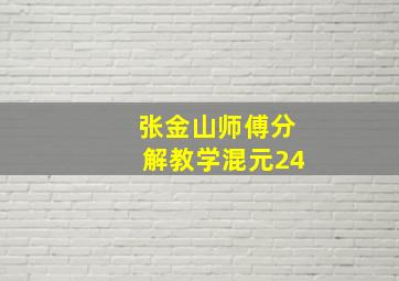 张金山师傅分解教学混元24