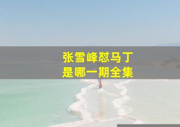 张雪峰怼马丁是哪一期全集