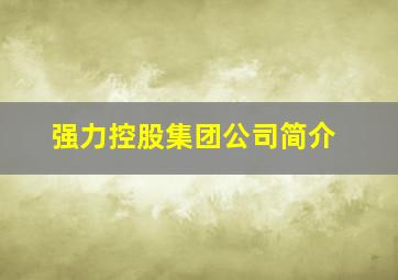 强力控股集团公司简介