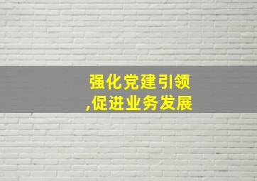 强化党建引领,促进业务发展