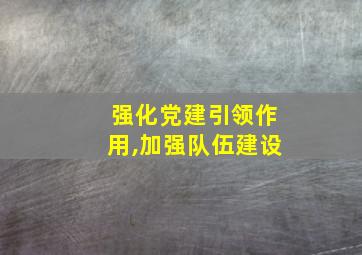 强化党建引领作用,加强队伍建设