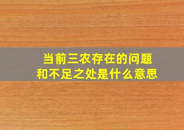 当前三农存在的问题和不足之处是什么意思