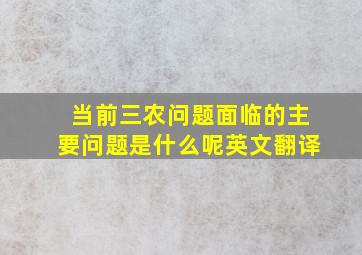 当前三农问题面临的主要问题是什么呢英文翻译