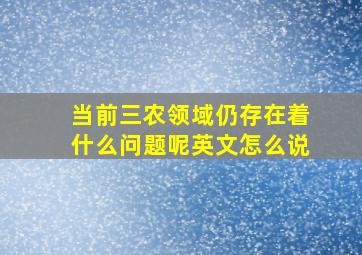 当前三农领域仍存在着什么问题呢英文怎么说