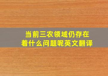 当前三农领域仍存在着什么问题呢英文翻译