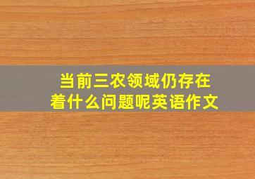 当前三农领域仍存在着什么问题呢英语作文