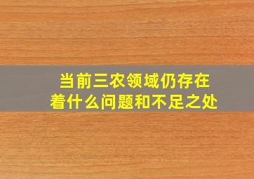 当前三农领域仍存在着什么问题和不足之处