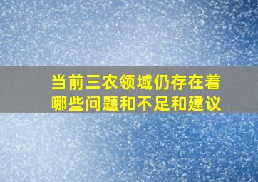 当前三农领域仍存在着哪些问题和不足和建议