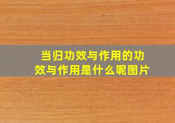 当归功效与作用的功效与作用是什么呢图片