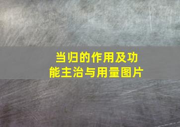 当归的作用及功能主治与用量图片